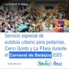 Servicio Especial de autobs urbano y taxi