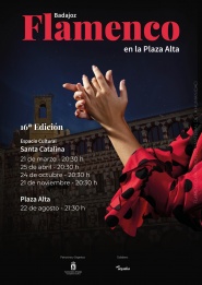 Flamenco en la Plaza Alta